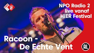 Racoon live met De Echte Vent  HIER Festival  NPO Radio 2 [upl. by Lerej]