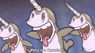 The Nawhals Song [upl. by Ettevets]