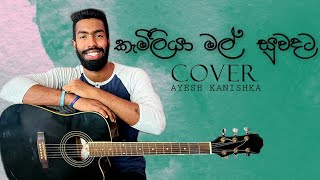 Kameliya Mal Suwadata  කැමීලියා මල් සුවදට  Cinderella Cover By Ayesh Kanishka [upl. by Aurilia]