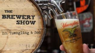 Yuengling Brewery  Brewery Show [upl. by Aicatsanna]