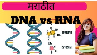 DNA vs RNA The Blueprint of Life Explained [upl. by Bergstein723]