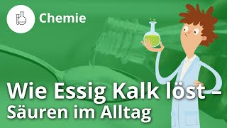 Wie Essig Kalk löst Säuren im Alltag – Chemie  Duden Learnattack [upl. by Eckhardt482]