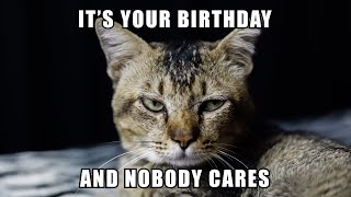 Birthday Meme Its your birthday and nobody cares [upl. by Zirtaeb]