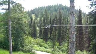 My First Zipline  Whitefish Montana 2 points of view [upl. by Jeri]