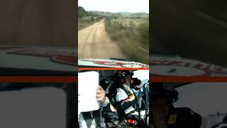 Ogier Onboard Polo R WRC [upl. by Anem]