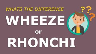 Wheeze or Rhonchi What is the difference Super simple explanation [upl. by Rim]