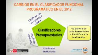 Teoría 1 Clasificadores Presupuestarios Recurso [upl. by Iaria]