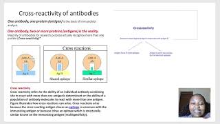 Immunological Techniques biotechnology immunology [upl. by Eseilanna850]