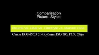 Canon Picture Style  Neutral vs Flaat vs Cinestyle vs Marvels Cine [upl. by Linskey794]