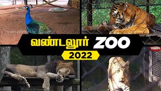 VANDALUR ZOO 2022  Arignar Anna Zoological ParkVandalurChennai  Chennai ZOO [upl. by Llatsyrk]