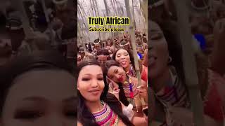 Zulu 👸zulu africa culture beauty views 4k trendingshorts trending 3d love [upl. by Aubarta]