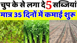 नवंबर में कौन सी सब्ज़ी लगाएँ  November me konsi sabji lagaye  November 2024 me sabji ki kheti [upl. by Harvey665]