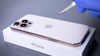 iPhone 16 Pro Max Unboxing and Camera Test  ASMR [upl. by Rehpotsirahc]