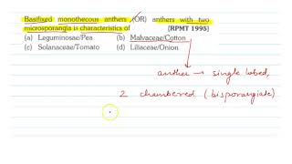 Basifixed monothecous anthers OR anthers with two microsporangia is characteristics of [upl. by Leitman]