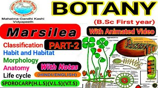 Marsilea  Reproduction  Life Cycle of Marsilea  Sporocarp  Part2 [upl. by Onder]