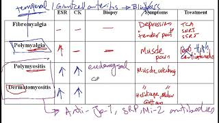 Video 189 Understanding Myopathies Fibromyalgia Polymyalgia Polymyositis and Dermatomyositis [upl. by Marjorie]