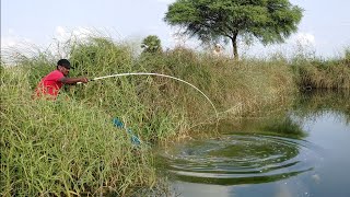 🐠TALAPIA fishingPOLE fishingcatching fihes with earth worms [upl. by Sulihpoeht]