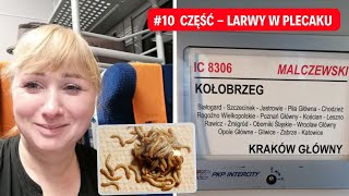 Polski kierowca ciężarowki za granicą częsć 7  pare odpowiedzi [upl. by Yesnyl]