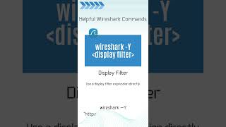 Wireshark Commands Display Filter [upl. by Naic]