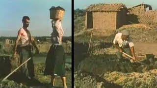 Produzione di tegole e mattoni nel Campidano di Oristano 1951 [upl. by Innes]