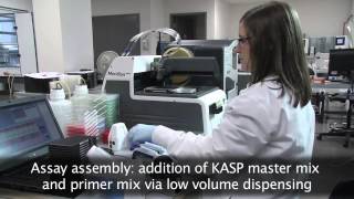 LGC Group SNP line highthroughput PCR workflow [upl. by Inessa106]