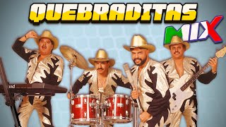 Quebradita Mix De Los 90s  Quebradita 90s Megamix  Quebradita Para Bailar [upl. by Legim414]