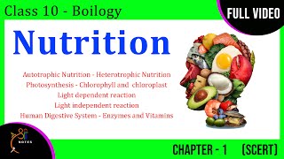 Nutrition  Class 10 Biology  Chapter  1  Concept Explanation  Sri Notes [upl. by Apurk]