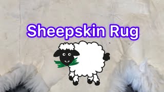 How to wash a Sheepskin Rug httpsferrantescarpetcleaningcom [upl. by Gipson]