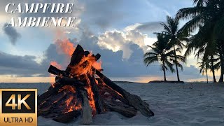 4K Beach Campfire Ambience on a Palm Lined White Sand Beach  Relaxing Fire and Nature Sounds [upl. by Foster418]