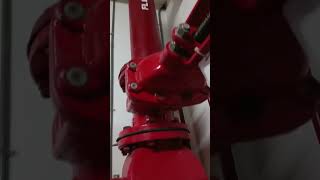 PMs fire pump and jockey pump [upl. by Ajax]