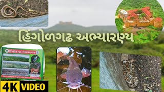 હિંગોળગઢ અભ્યારણ્ય અને કિલ્લો  Hingolgadh sanctuary and fort part1 [upl. by Grindlay]