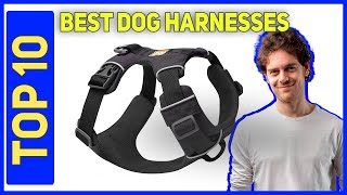 Best Dog Harnesses in 2023 Top 10 Dog Harnesses [upl. by Alleuqahs]