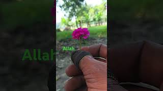 New video Islamic dua [upl. by Onitsirc]