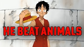 How did Luffy get away with this in One Piece [upl. by Lu]