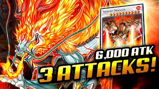 TENPAI DRAGON Deck 30000 BATTLE DAMAGE❗  NEW From Legecy of Destruction [upl. by Tzong788]