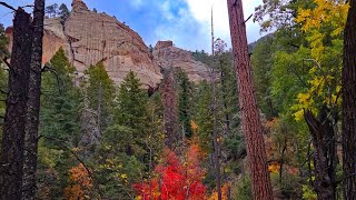 Sacaton Creek Trail  Gila National Forest NM  November 11 2023 [upl. by Derrek414]