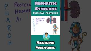 Nephritic Syndrome Clinical Features  mnemonic  shorts [upl. by Zoa]