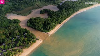 Plage de GrandeAnse Deshaies coupée en deux  une excellente nouvelle pour la biodiversité [upl. by Sousa]