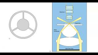 Dark field Microscope [upl. by Reddin841]