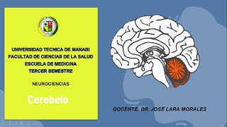 CEREBELO anatomía vías aferenteseferentes fisiología y correlatos clínicos [upl. by Malchus]