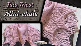 Tricot TUTO PAS À PAS ♥ MINI CHÂLE AVEC BORDURE EN DENTELLE🐑 [upl. by Annola]