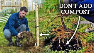 How to Plant a BareRoot Fruit Tree  Zero Fertility Method [upl. by Birdella629]