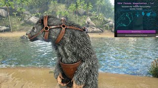 ARK Survival Evolved EPISODE 13 HIGH LEVEL MEGATHERIUM TAMING！ [upl. by Zahc]