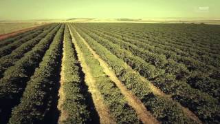 Agricultura o maior trabalho da Terra [upl. by Itnahs]