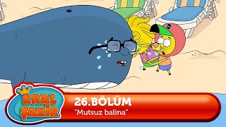 Kral Şakir 26 Bölüm  Mutsuz Balina [upl. by Intosh]