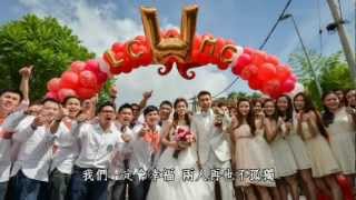 Lee Chong Wei Wedding Video [upl. by Ettegdirb334]