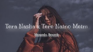 Tera Nasha X Tere Naino Mein  Jalraj  Slowed reverb Mashup song [upl. by Anaes296]