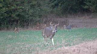 First Bow Hunt of the 2024 Season [upl. by Airamzul]