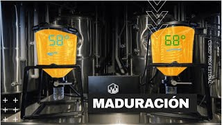 Masterclass de Maduración en el Proceso de Elaboración de Cerveza [upl. by Asilla]