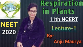 NCERT Revision Respiration in Plants NEET 2020 Lecture1 ByAnju Maurya [upl. by Travax]